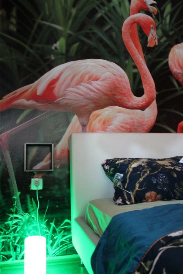 Flamingos Apartman & Fitness Centar Osijek - Blizina Bolnice Kbc 오시예크 외부 사진